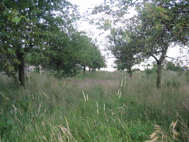 Building plot in beautiful area – great for relax